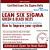 Lean Six Sigma Green and Black Belt Training