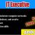 IT Executive