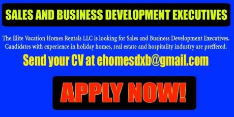 Sales and Business Development Executives