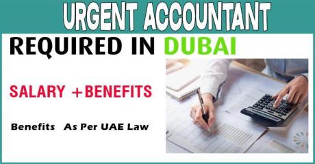 Urgent Accountant Required in Dubai