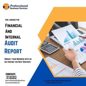 ARE YOU LOOKING FOR FINANCIAL & INTERNAL AUDIT REPORT SERVICES?