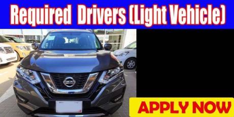 Required  Drivers (Light Vehicle)