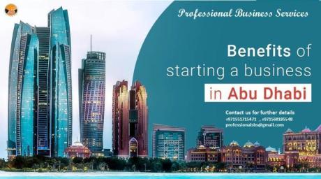 BUSINESS SETUP CONSULTANT