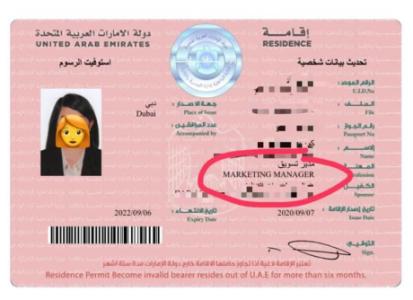 affordable visa inside U.A.E