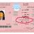 affordable visa inside U.A.E