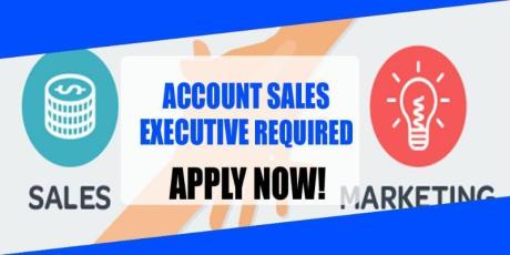 ACCOUNT SALES EXECUTIVE REQUIRED IN DUBAI