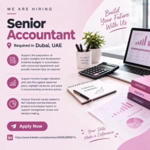 Senior Accountant Required in Dubai