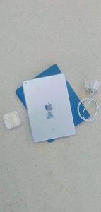 Apple iPad