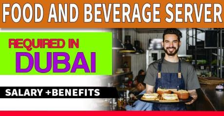 Food and Beverage Server Required in Dubai