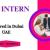HR Intern Required in Dubai