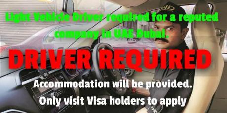 Light Vehicle Driver