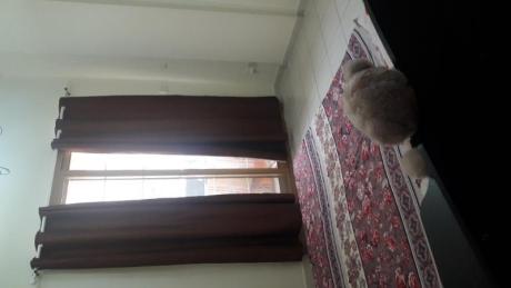 Fully furnished  master bedroom  on rent in international city