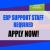 ERP SUPPORT STAFF REQUIRED IN DUBAI