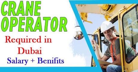 Crane Operator Required in Dubai