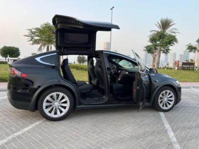 Tesla model x 2019 17000kms
