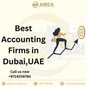 Accounting and Bookkeeping Services in Dubai