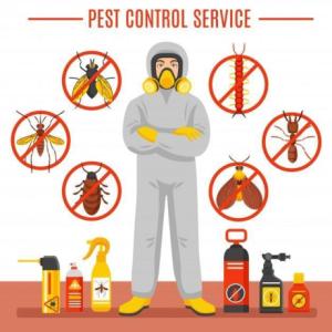 We provide best pest control service in Dubai