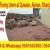 Paving Floor Interlock Fixing Applicator Ajman Sharjah Dubai