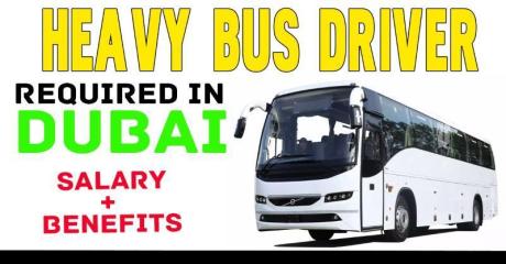 Heavy Bus Driver Required in Dubai UAE