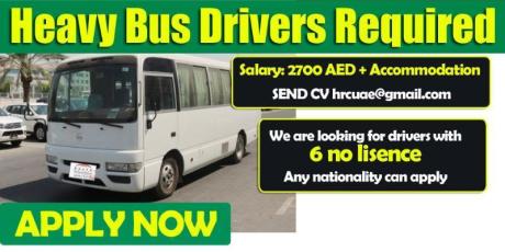 Heavy Bus Drivers Required