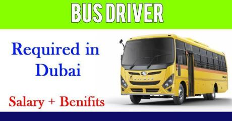 Bus Driver Required in Dubai