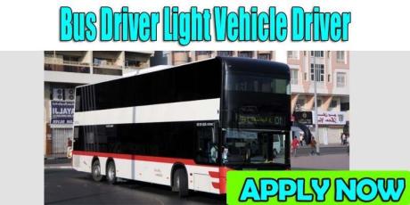 Bus Driver Light Vehicle Driver