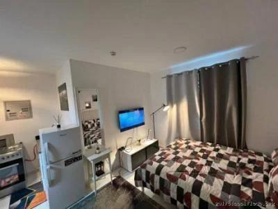 1 Bed 1 Bath Apartment