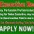 Sales Executive