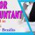 Junior Accountant Required in Dubai