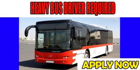 HEAVY BUS DRIVER REQUIRED