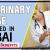 Veterinary Nurse Required in Dubai