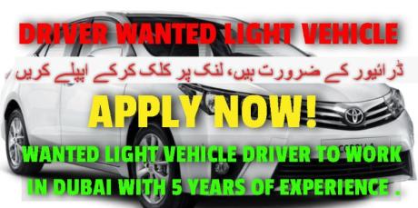 DRIVER WANTED LIGHT VEHICLE