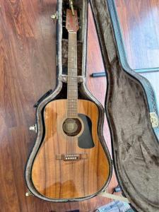 Washburn acoustic Guitar + case + capo