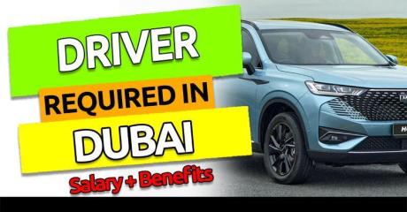 Driver Required in Dubai