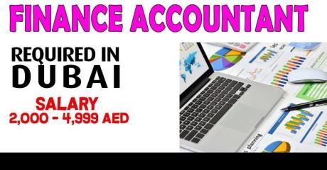 Finance Accountant - Arabic Speakers Required in Dubai