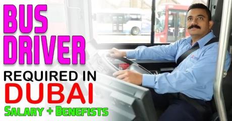 BUS DRIVER Required in Dubai