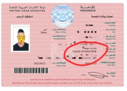 affordable visa inside U.A.E