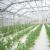 Greenhouse for investment