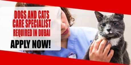 DOGS AND CATS CARE SPECIALIST REQUIRED IN DUBAI