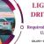 Light Driver Required in Dubai