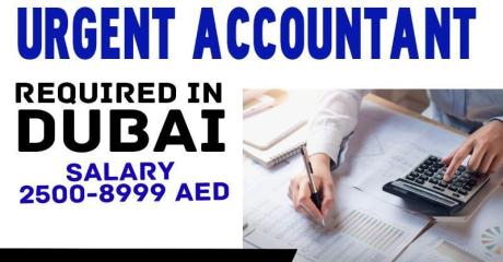 Urgent Accountant Required in Dubai