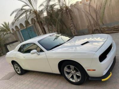 Dodge Challenger model 2019