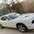 Dodge Challenger model 2019