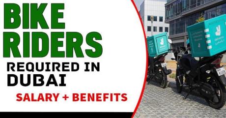 Bike Riders( Visa + License+Acc) Required in Dubai