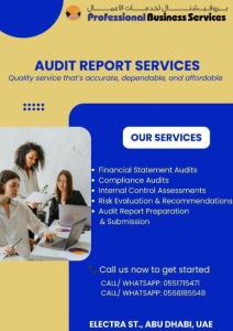 AUDIT REPORT SERVICES. CONTACT US NOW!