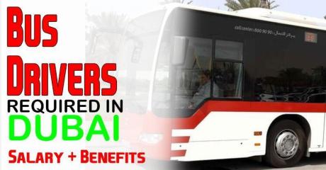 Bus Drivers Required in Dubai