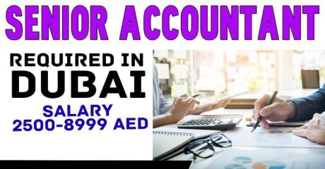 Senior Accountant Required in Dubai