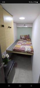 solo partition available