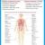 REDUCE YOUR WEIGHT THROUGH AYURVEDA AND YOGA AT AURA