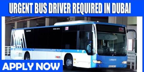 URGENT BUS DRIVER REQUIRED IN DUBAI